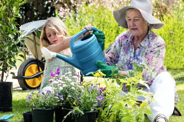 Making the Most of Sunny Days: Activities for Elderly Loved Ones
